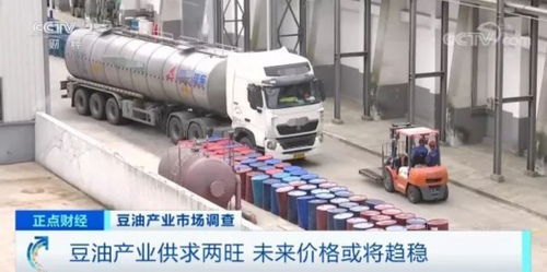 大豆油價格飆升20% 加工廠年營業(yè)額預增50%，國內(nèi)貿(mào)易代理面臨機遇與挑戰(zhàn)